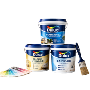 Paint